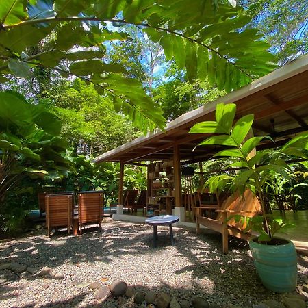 Satta Lodge (Adults Only) Puerto Viejo de Talamanca エクステリア 写真