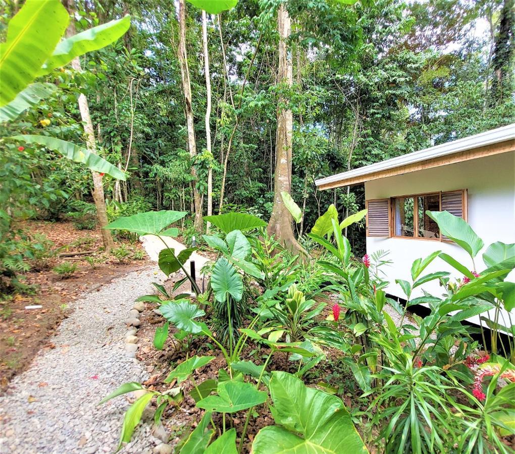 Satta Lodge (Adults Only) Puerto Viejo de Talamanca エクステリア 写真