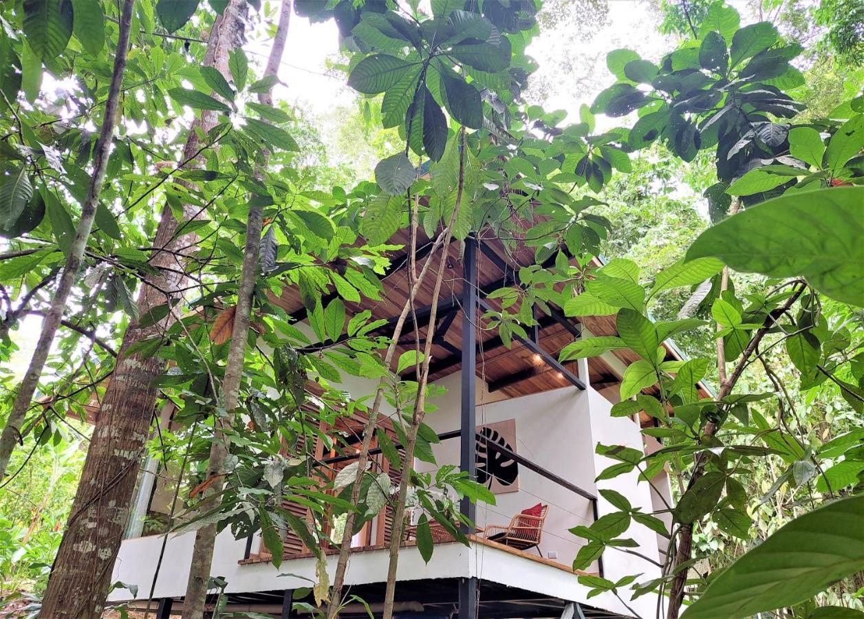 Satta Lodge (Adults Only) Puerto Viejo de Talamanca エクステリア 写真