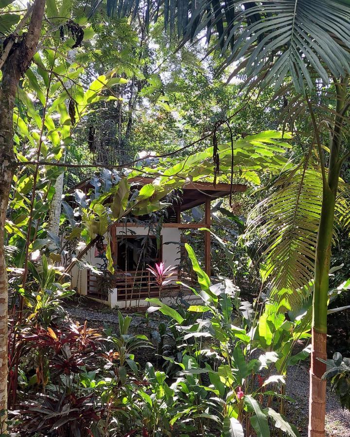 Satta Lodge (Adults Only) Puerto Viejo de Talamanca エクステリア 写真
