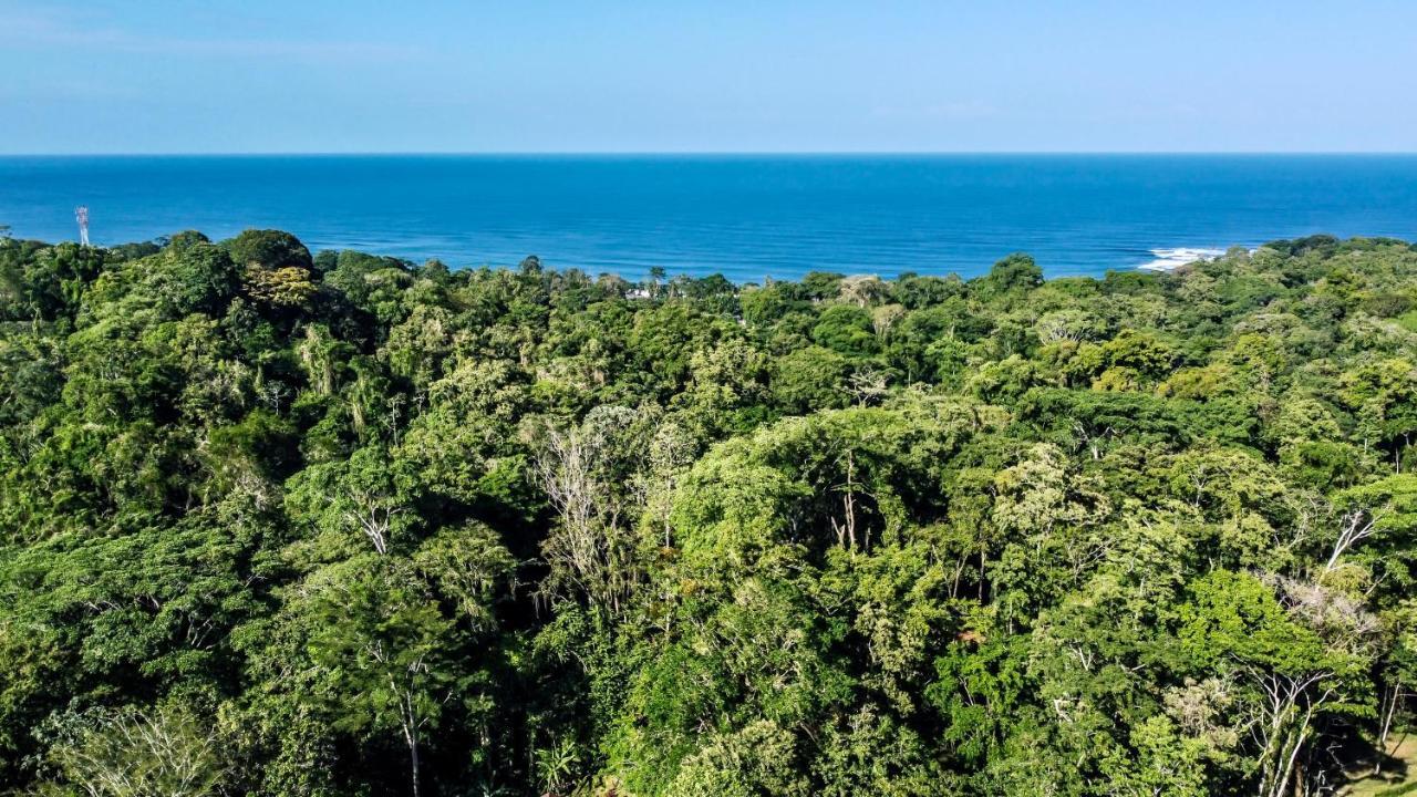 Satta Lodge (Adults Only) Puerto Viejo de Talamanca エクステリア 写真
