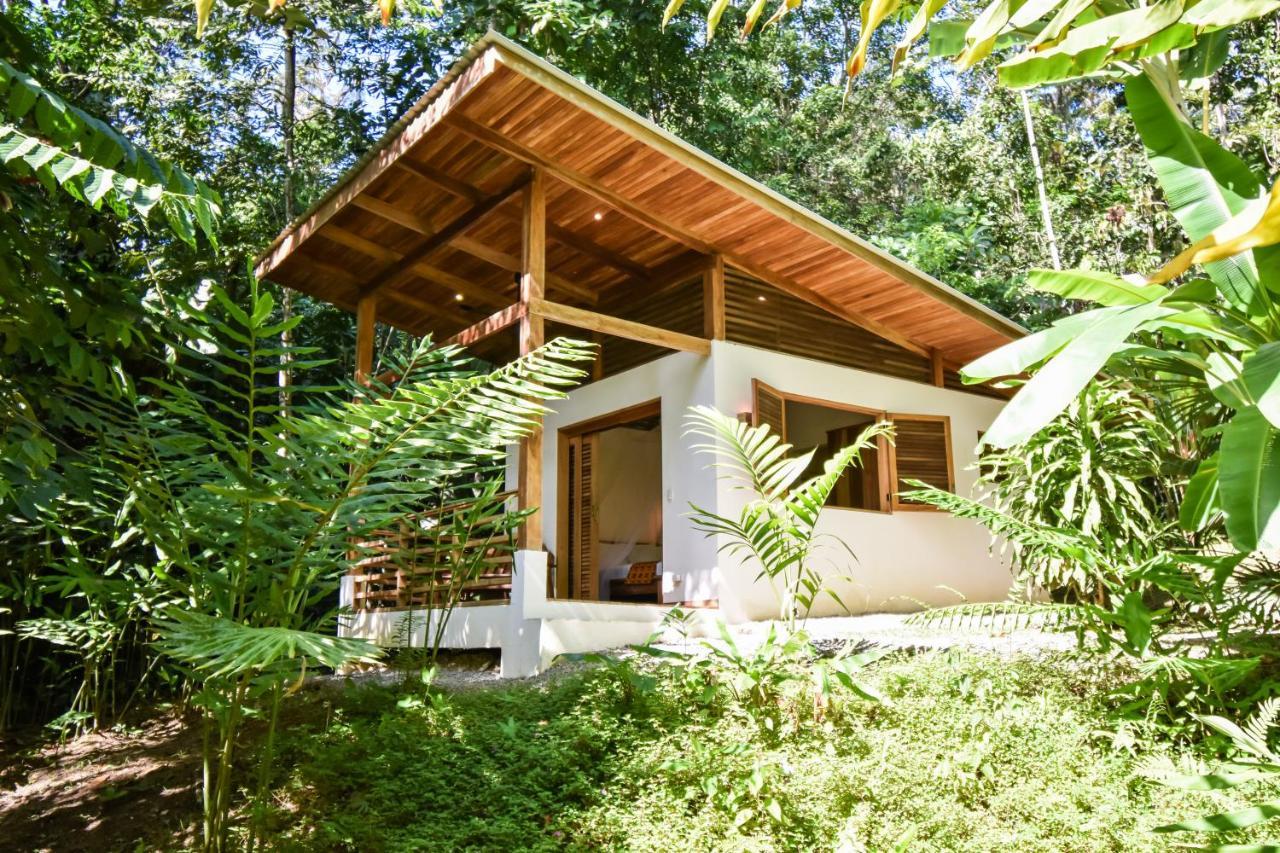 Satta Lodge (Adults Only) Puerto Viejo de Talamanca エクステリア 写真