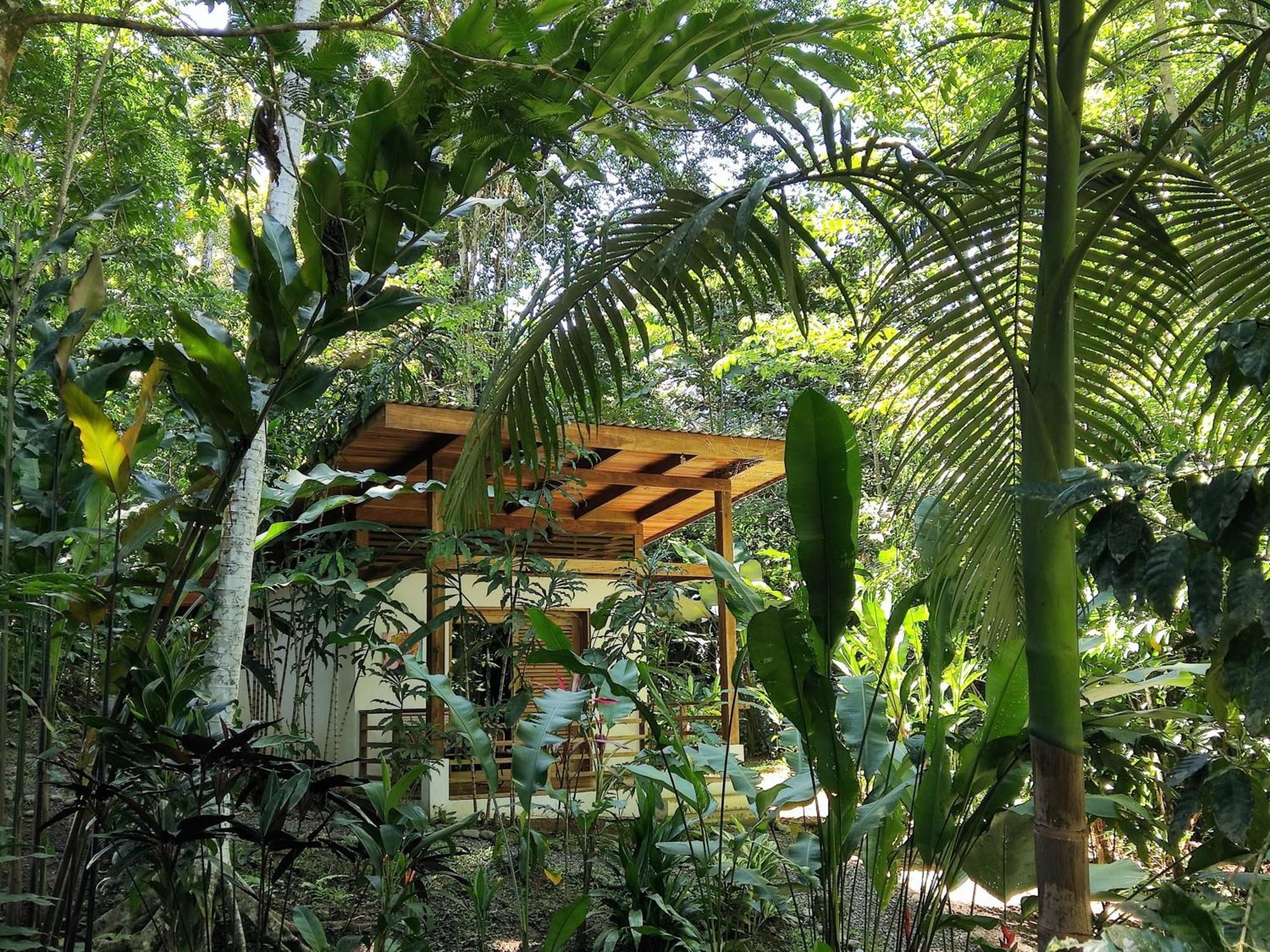 Satta Lodge (Adults Only) Puerto Viejo de Talamanca 部屋 写真
