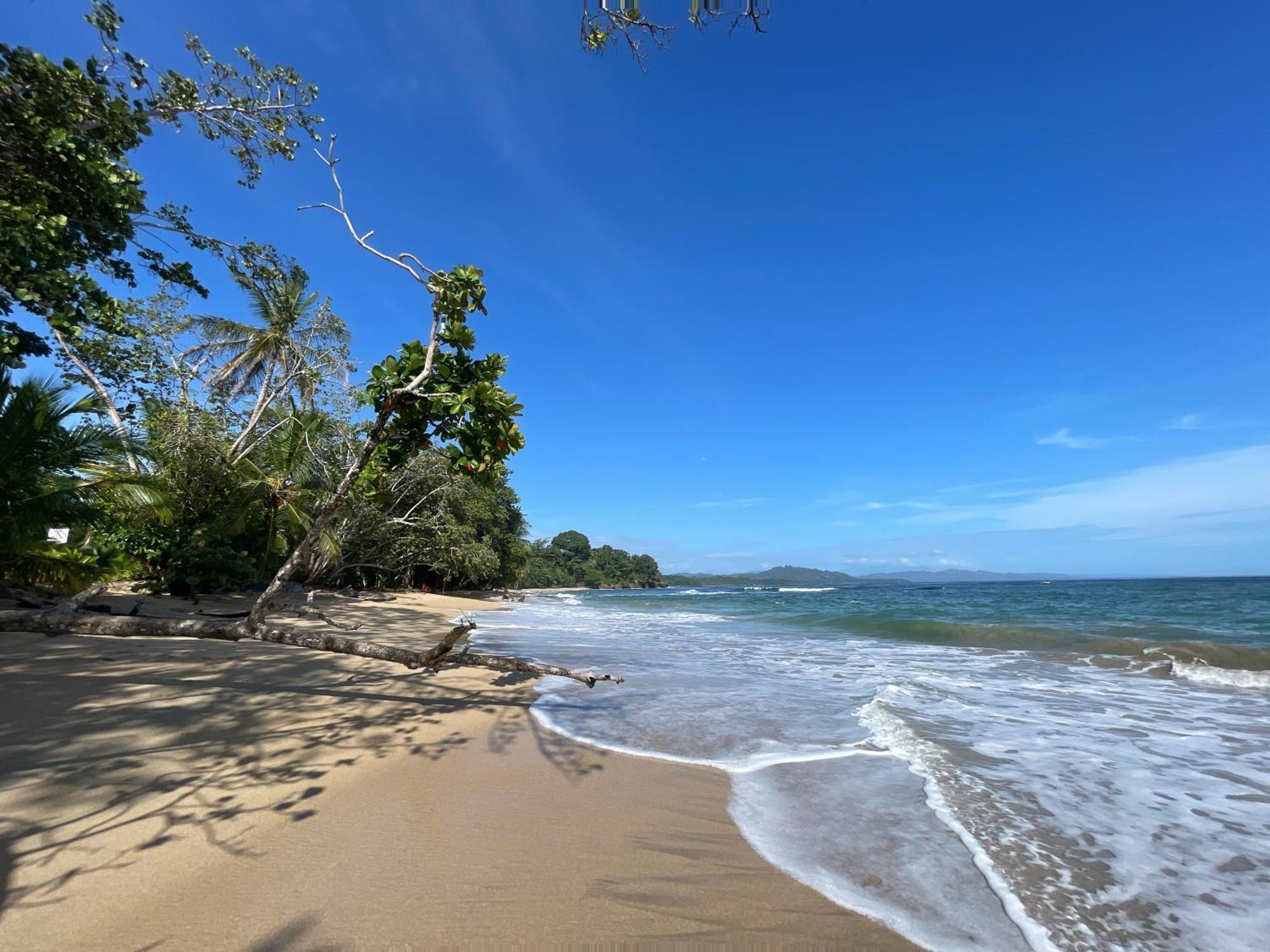 Satta Lodge (Adults Only) Puerto Viejo de Talamanca エクステリア 写真