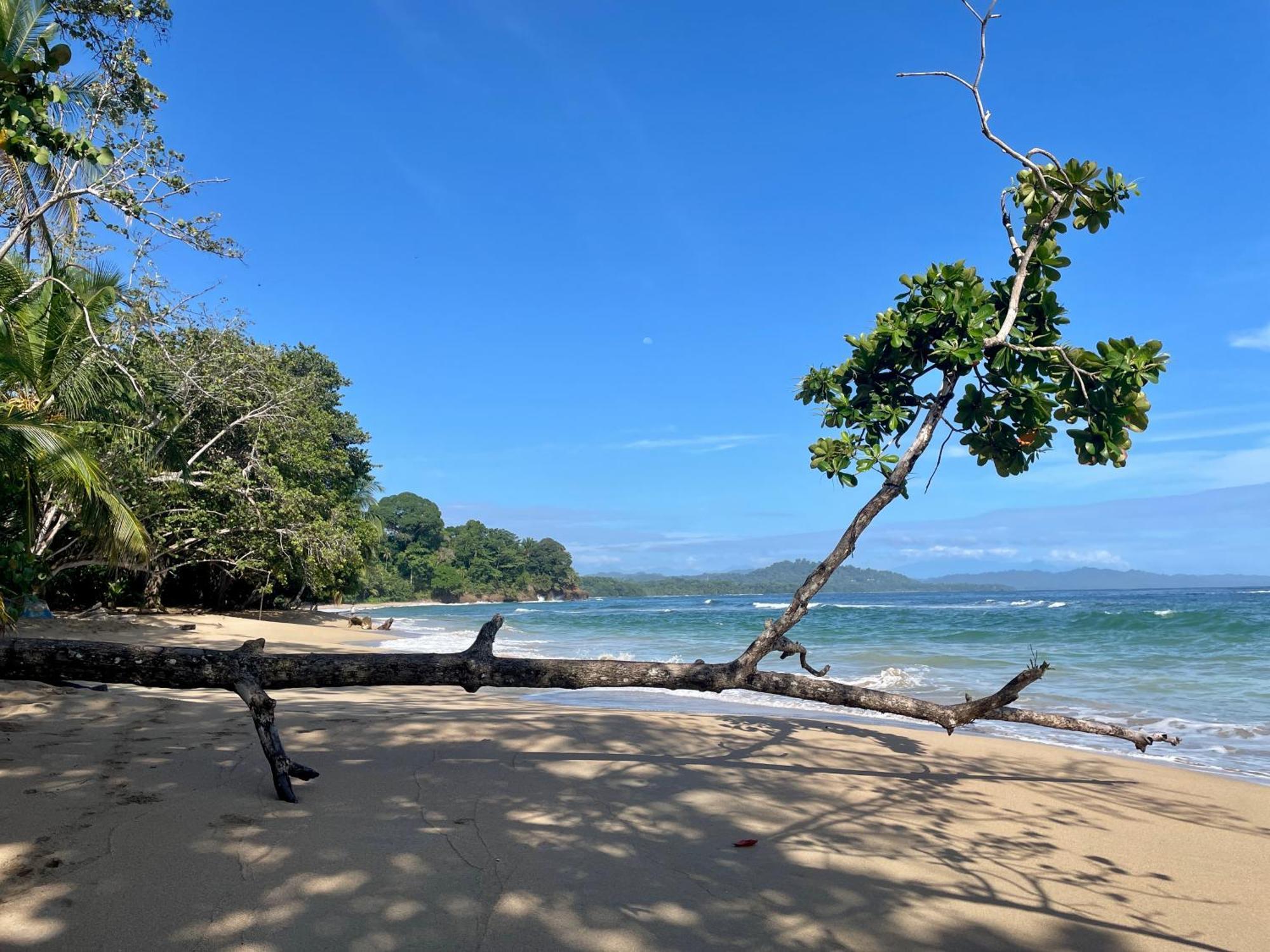 Satta Lodge (Adults Only) Puerto Viejo de Talamanca エクステリア 写真