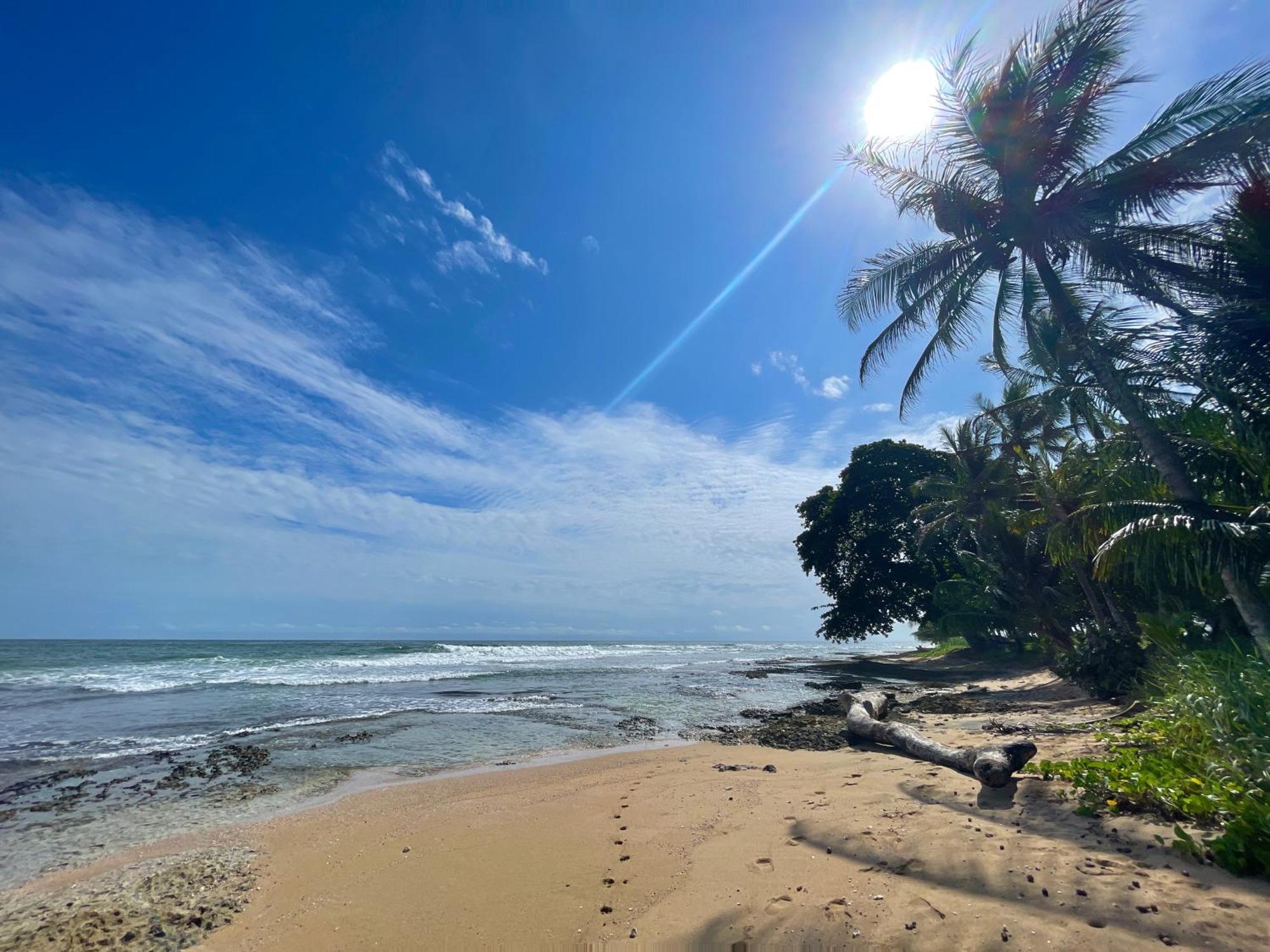 Satta Lodge (Adults Only) Puerto Viejo de Talamanca エクステリア 写真