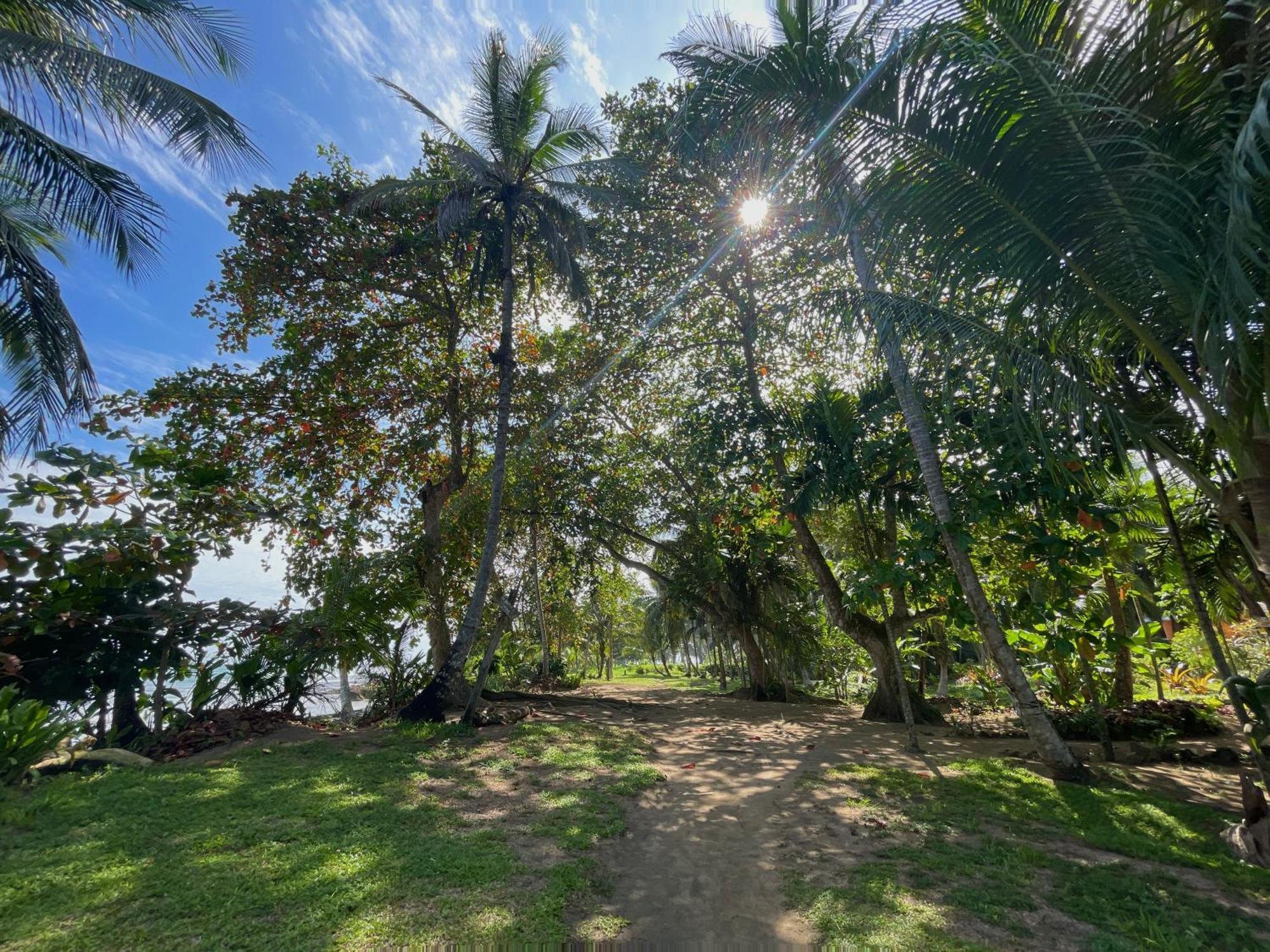 Satta Lodge (Adults Only) Puerto Viejo de Talamanca エクステリア 写真