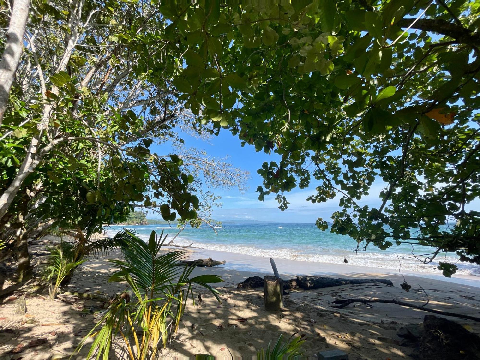 Satta Lodge (Adults Only) Puerto Viejo de Talamanca エクステリア 写真