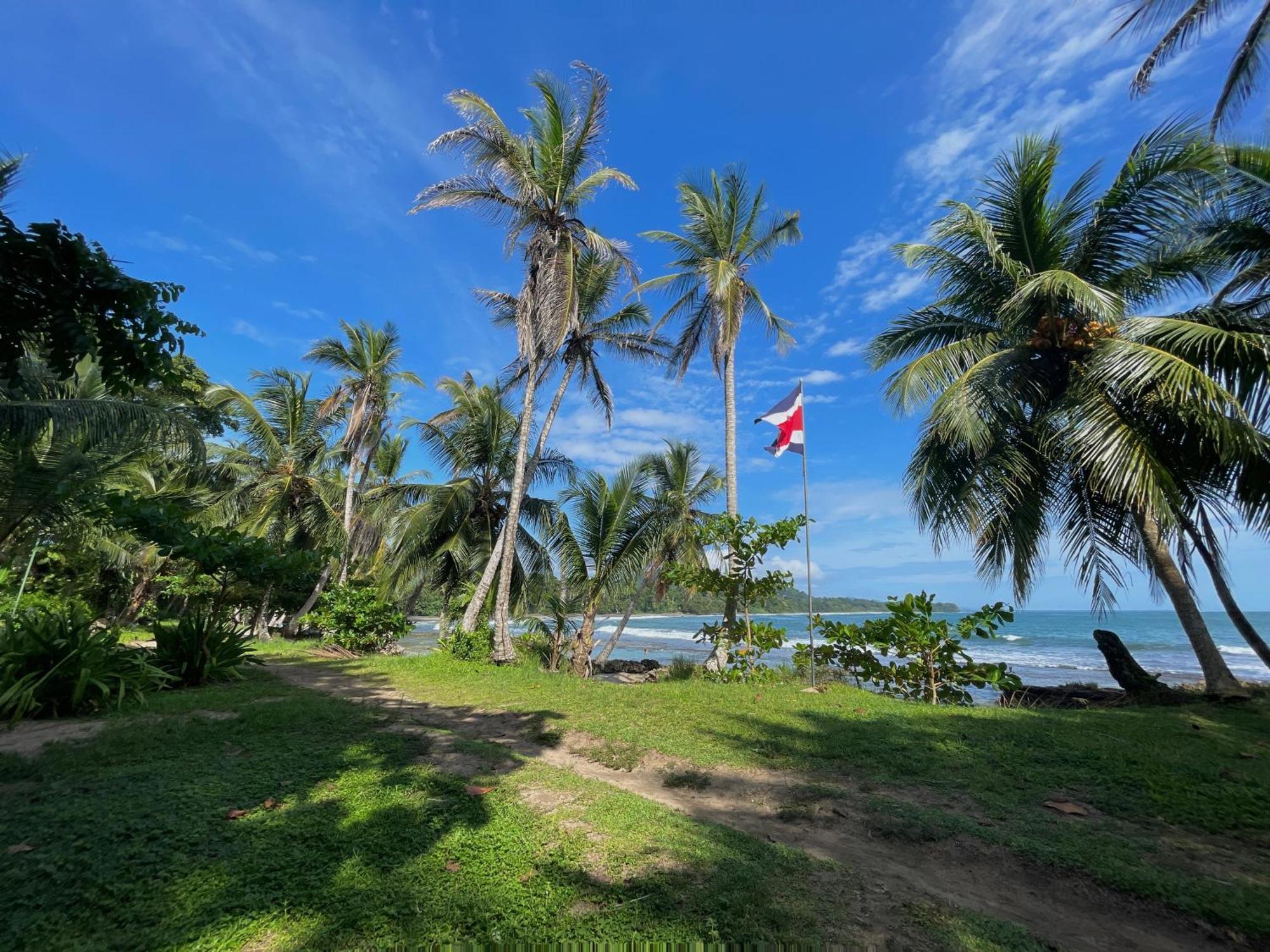 Satta Lodge (Adults Only) Puerto Viejo de Talamanca エクステリア 写真