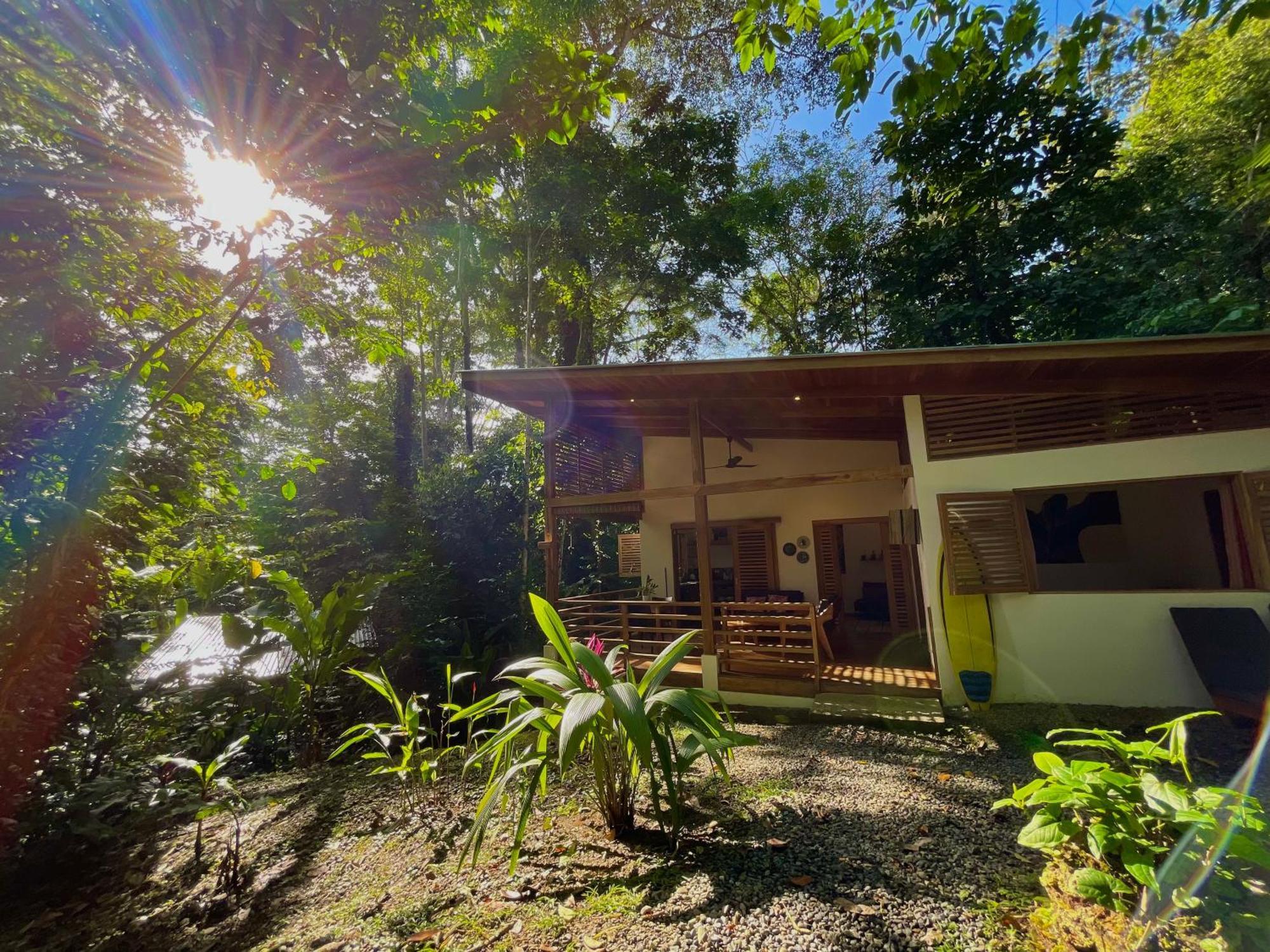 Satta Lodge (Adults Only) Puerto Viejo de Talamanca エクステリア 写真