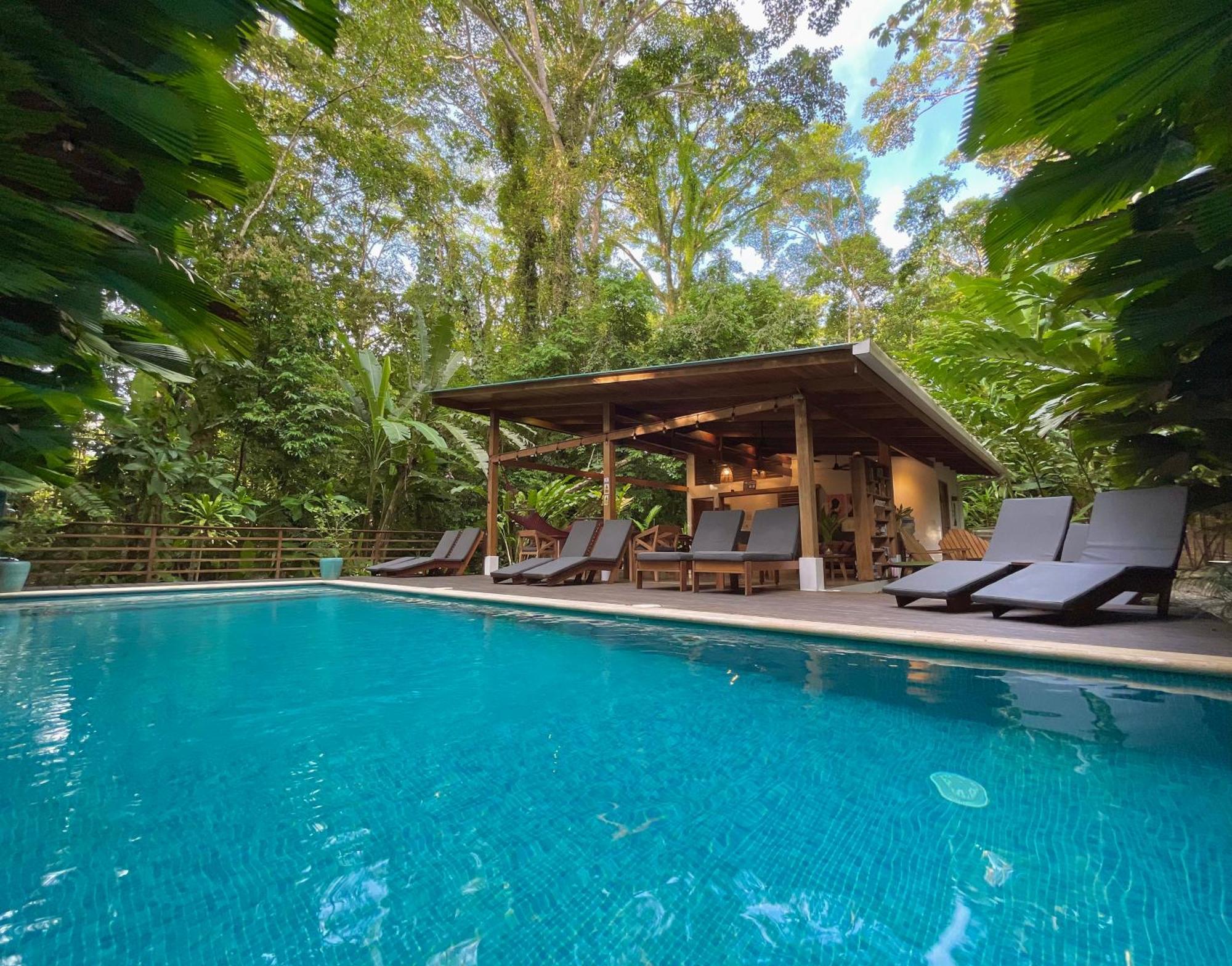 Satta Lodge (Adults Only) Puerto Viejo de Talamanca エクステリア 写真