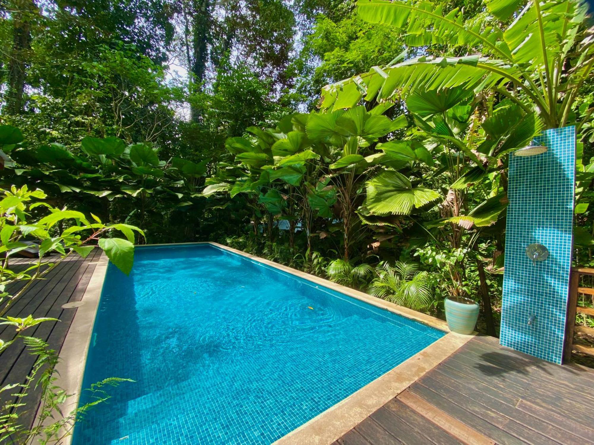 Satta Lodge (Adults Only) Puerto Viejo de Talamanca エクステリア 写真